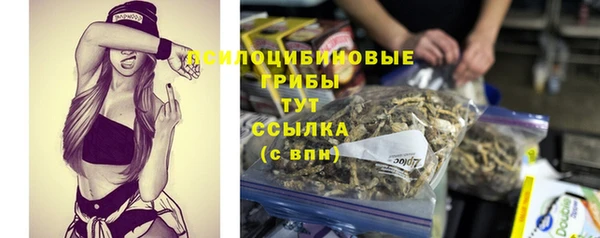 мяу мяу мука Осташков