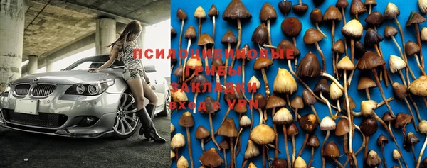 круглые Осинники