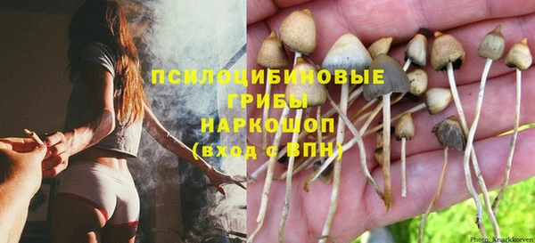круглые Осинники