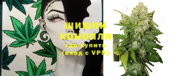 круглые Осинники