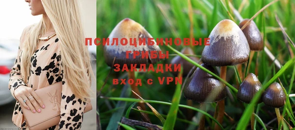 мяу мяу мука Осташков