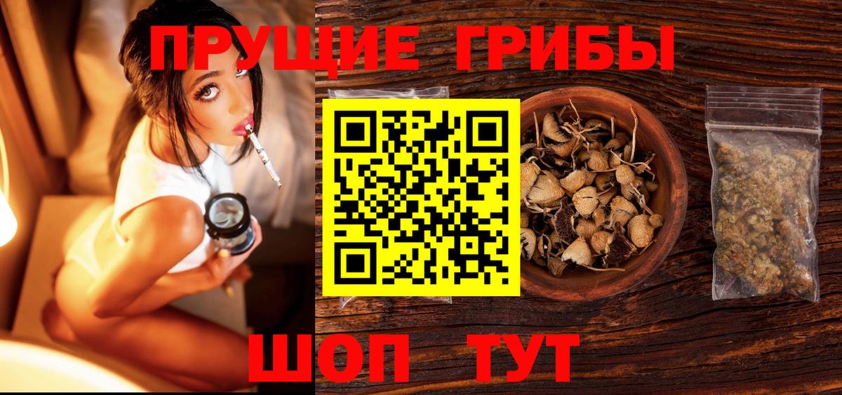 Псилоцибиновые грибы ЛСД  Вход с VPN  Амурск 